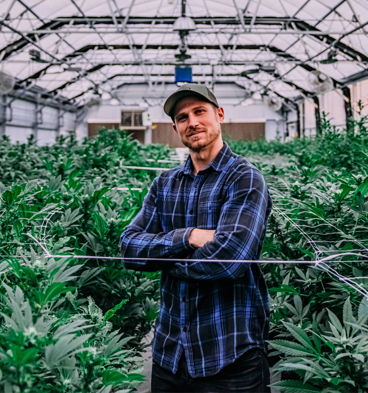cannabis farmer